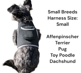 Rechargeable Reputable Finder Collar GPS Tracking Device for Dogs + Gyro Sensor Size:S