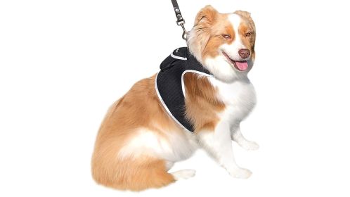 Get Highly Precise Readings w/ Pet Tracker Mini Dog Tracking Collar Device Size:S