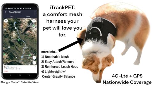 Inexpensive Mini Tracking Dog Collar GSM GPS Portable Location Tracker Size:XXL