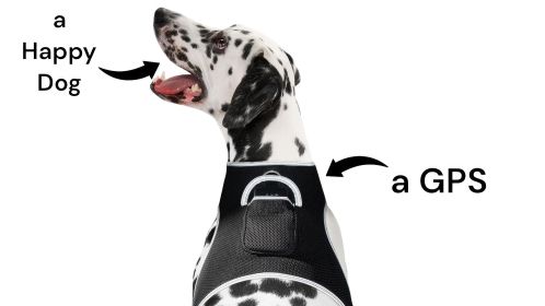 High Quality Waterproof Pocket GPS Tracker for Dogs w/ Low Power Alert Size:XXL