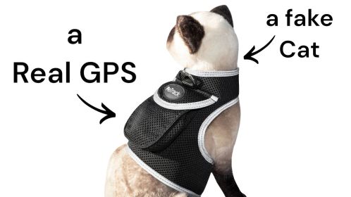High Accuracy Realtime Mini Wireless GSM GPS Trackers for Dogs w/ App Size:XXL