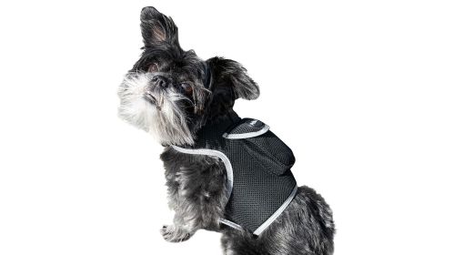 NEW Fashionable Designed Wireless Pet Tracker GPS GSM GPRS Pet Locator Size:M