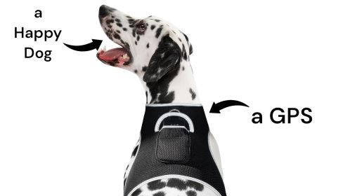 Convenient Pet Tracking w/ Sturdy Waterproof Mini GSM GPRS GPS Tracker Size:M