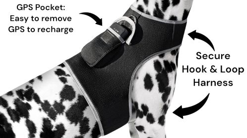 Collar Mount GPS Pet Tag Tracker Portable Realtime Tracking System w/ Phone App Size:M